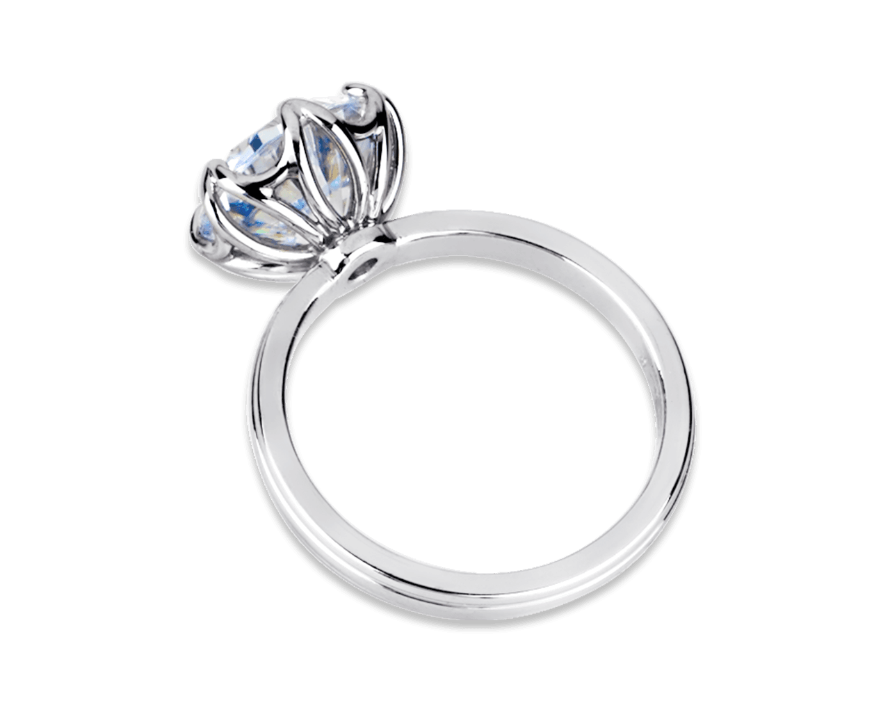 The Adriana Six Prong Solitaire