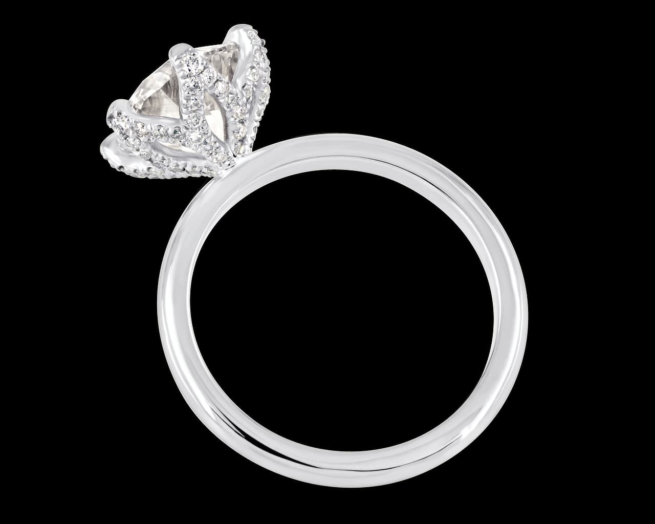 The Elodie Lotus Solitaire