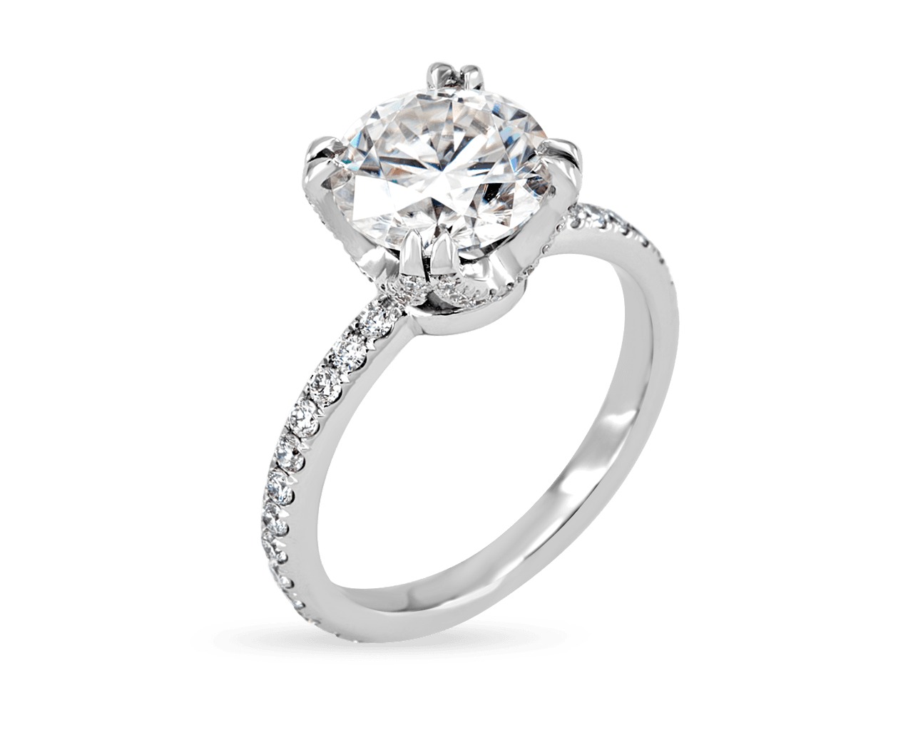 Angeline Pave Solitaire with Pave Profile